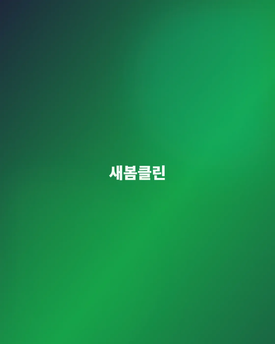 이사청소 전문 서비스